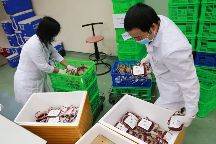 Tiếp tục chuyển 2.000 đơn vị máu vào TP. Hồ Chí Minh - Ảnh 1. Tiếp tục chuyển 2.000 đơn vị máu vào TP. Hồ Chí Minh - Ảnh 1.