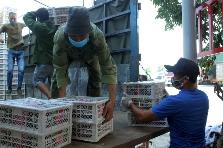 Chuyển nhanh, chuyển mạnh sang xuất khẩu chính ngạch với Trung Quốc - Ảnh 1. Chuyển nhanh, chuyển mạnh sang xuất khẩu chính ngạch với Trung Quốc - Ảnh 1.
