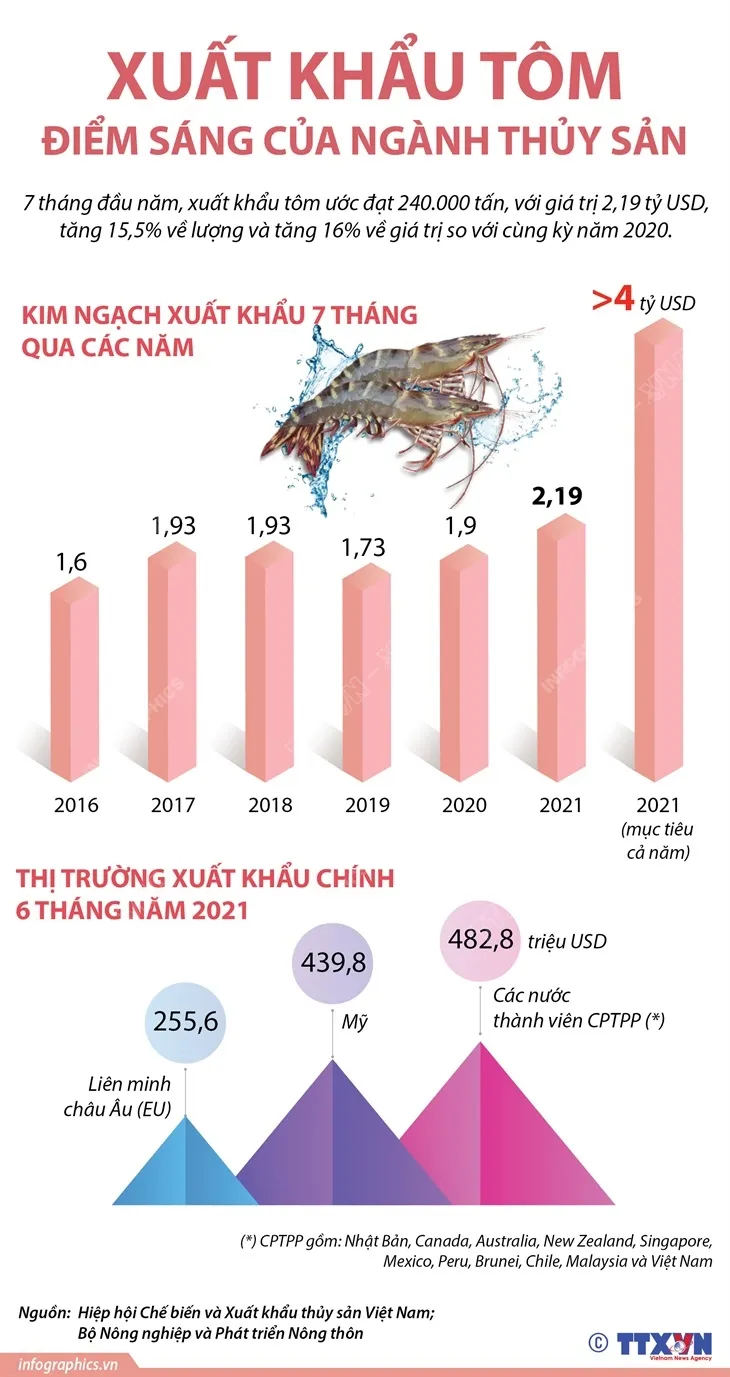 Xuất khẩu tôm - Điểm sáng của ngành thủy sản - Ảnh 1. Xuất khẩu tôm - Điểm sáng của ngành thủy sản - Ảnh 1.