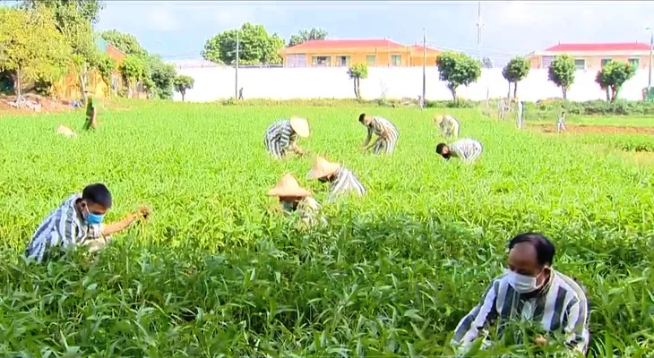 Lần đầu tiên thực hiện đặc xá sau 4 năm - Ảnh 1. Lần đầu tiên thực hiện đặc xá sau 4 năm - Ảnh 1.