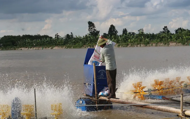 VASEP: Nguy cơ gãy đổ chuỗi sản xuất, xuất khẩu thủy sản ngay trước mắt - Ảnh 2. VASEP: Nguy cơ gãy đổ chuỗi sản xuất, xuất khẩu thủy sản ngay trước mắt - Ảnh 2.