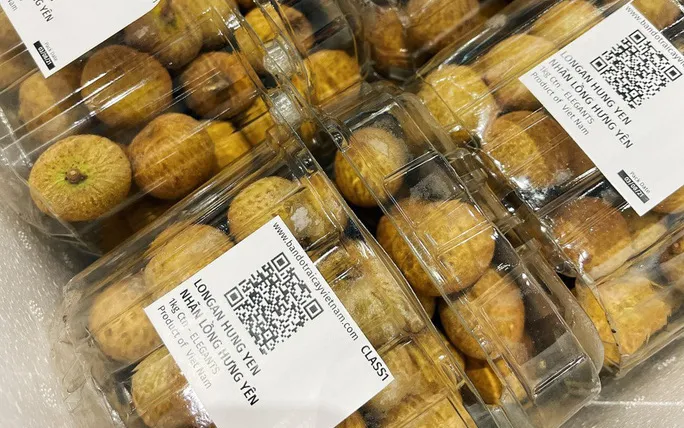 Nhãn lồng Hưng Yên bán ở Singapore giá hơn 200.000 đồng/kg - Ảnh 1. Nhãn lồng Hưng Yên bán ở Singapore giá hơn 200.000 đồng/kg - Ảnh 1.