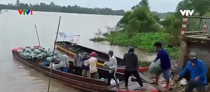 Nông dân Cù lao Mây góp rau củ gửi TP Hồ Chí Minh - Ảnh 1. Nông dân Cù lao Mây góp rau củ gửi TP Hồ Chí Minh - Ảnh 1.