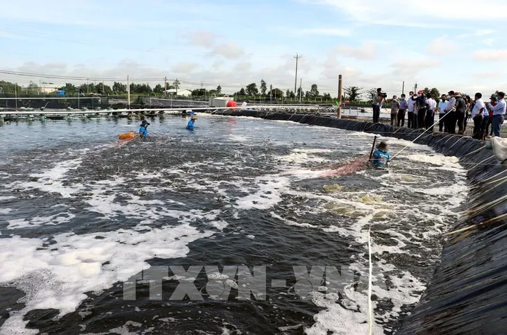 Doanh nghiệp cần hỗ trợ gì khi hoạt động trở lại sau giãn cách? - Ảnh 1. Doanh nghiệp cần hỗ trợ gì khi hoạt động trở lại sau giãn cách? - Ảnh 1.