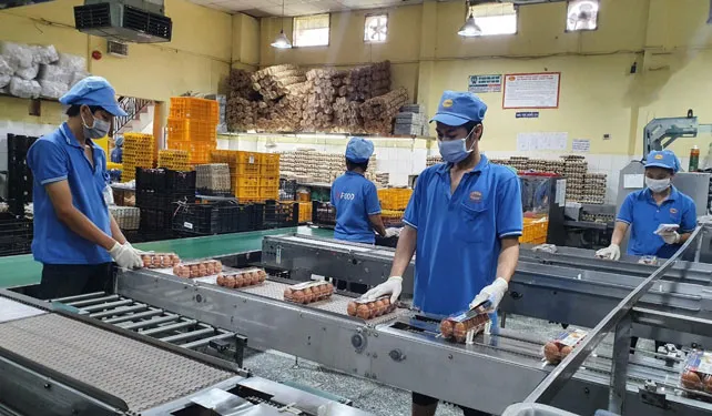 Doanh nghiệp chết lâm sàng, cần trợ thở, hồi sức trước khi quá muộn - Ảnh 1. Doanh nghiệp chết lâm sàng, cần trợ thở, hồi sức trước khi quá muộn - Ảnh 1.