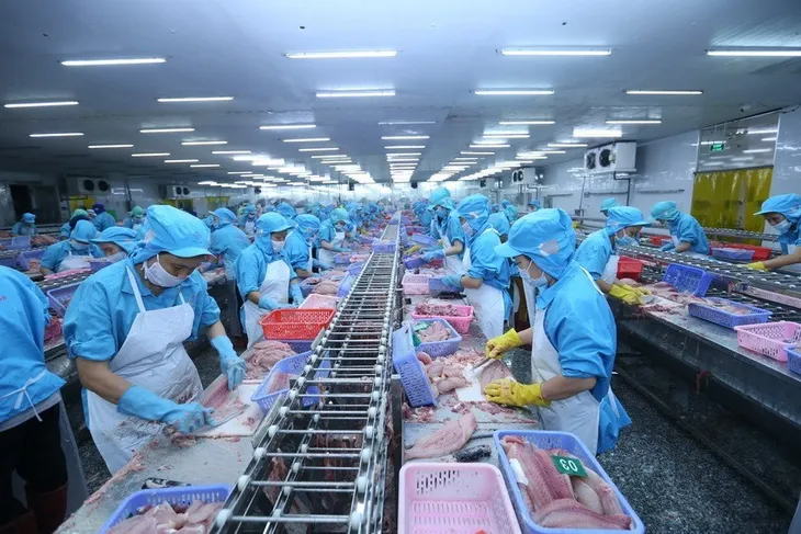 Doanh nghiệp thủy sản “đuối sức” trước đại dịch - Ảnh 1. Doanh nghiệp thủy sản “đuối sức” trước đại dịch - Ảnh 1.