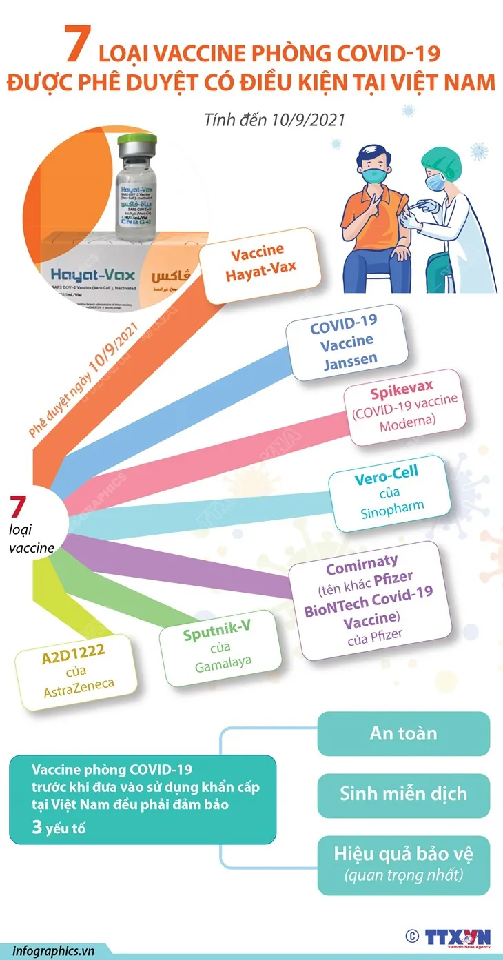 7 loại vaccine phòng COVID-19 được phê duyệt có điều kiện tại Việt Nam - Ảnh 1. 7 loại vaccine phòng COVID-19 được phê duyệt có điều kiện tại Việt Nam - Ảnh 1.