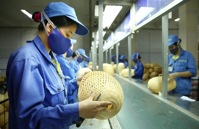 Vùng xanh” bắt nhịp sản xuất - Ảnh 3. Vùng xanh” bắt nhịp sản xuất - Ảnh 3.