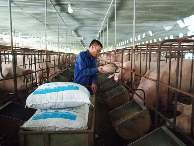 Đề xuất giảm thuế nhập khẩu ngô, lúa mì - Ảnh 1. Đề xuất giảm thuế nhập khẩu ngô, lúa mì - Ảnh 1.
