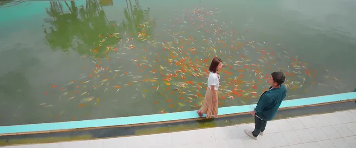 11 tháng 5 ngày - Tập 22: Làm Nhi té xuống hồ cá, Đăng lấy gì chuộc lỗi? - Ảnh 3. 11 tháng 5 ngày - Tập 22: Làm Nhi té xuống hồ cá, Đăng lấy gì chuộc lỗi? - Ảnh 3.