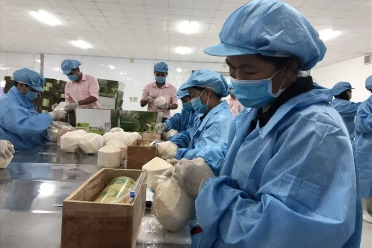 Thúc đẩy xuất khẩu nông sản những tháng cuối năm - Ảnh 1. Thúc đẩy xuất khẩu nông sản những tháng cuối năm - Ảnh 1.