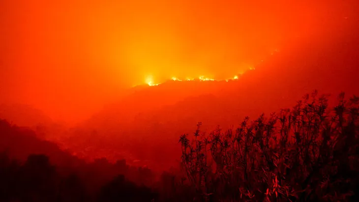 Cháy rừng hoành hành ở California, cây lớn nhất thế giới được bọc trong lớp vải chống lửa - Ảnh 3. Cháy rừng hoành hành ở California, cây lớn nhất thế giới được bọc trong lớp vải chống lửa - Ảnh 3.