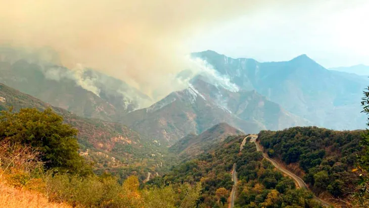 Cháy rừng hoành hành ở California, cây lớn nhất thế giới được bọc trong lớp vải chống lửa - Ảnh 1. Cháy rừng hoành hành ở California, cây lớn nhất thế giới được bọc trong lớp vải chống lửa - Ảnh 1.