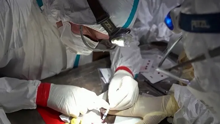 Loài dơi có phải vật chủ gốc lây truyền virus SARS-CoV-2? - Ảnh 1. Loài dơi có phải vật chủ gốc lây truyền virus SARS-CoV-2? - Ảnh 1.