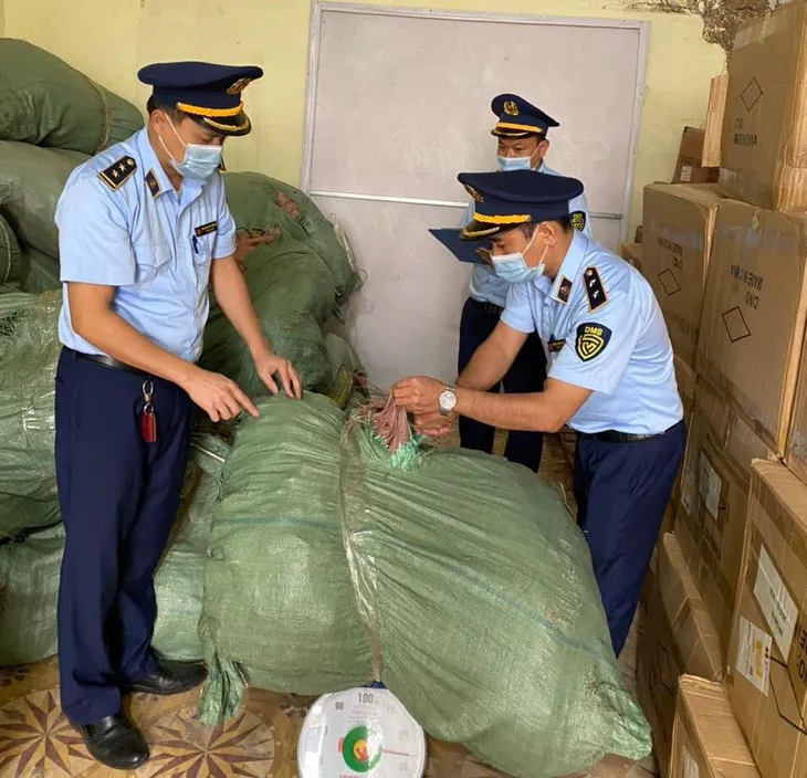 “Ma trận” nấm hỗ trợ sức khỏe trên thị trường - Ảnh 3. “Ma trận” nấm hỗ trợ sức khỏe trên thị trường - Ảnh 3.