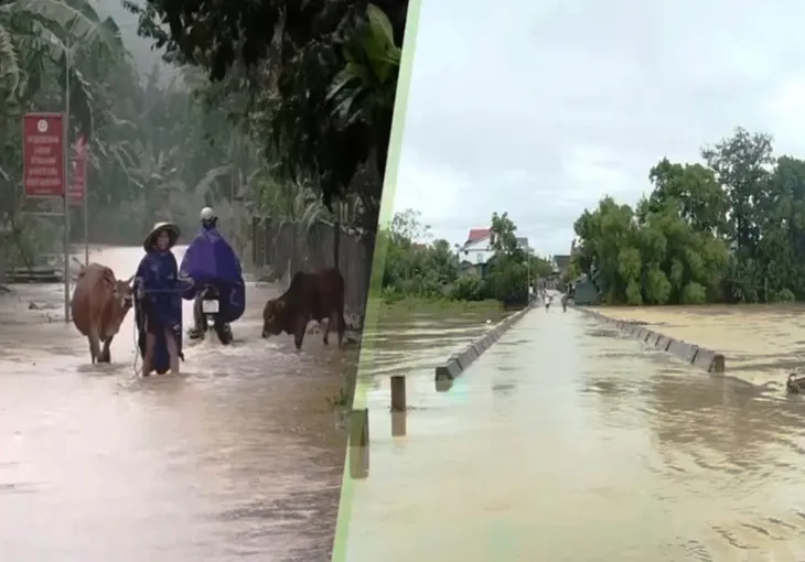 Mưa lớn do hoàn lưu bão số 6 gây nhiều thiệt hại ở Hà Tĩnh, Nghệ An - Ảnh 2. Mưa lớn do hoàn lưu bão số 6 gây nhiều thiệt hại ở Hà Tĩnh, Nghệ An - Ảnh 2.