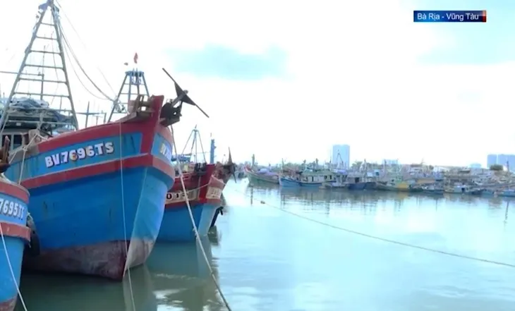 Nhiều tỉnh thành nới lỏng giãn cách, khôi phục sản xuất - Ảnh 1. Nhiều tỉnh thành nới lỏng giãn cách, khôi phục sản xuất - Ảnh 1.