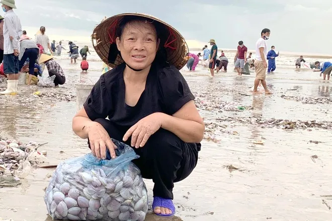 Hàng trăm tấn ngao dạt vào bờ biển sau mưa bão - Ảnh 6. Hàng trăm tấn ngao dạt vào bờ biển sau mưa bão - Ảnh 6.