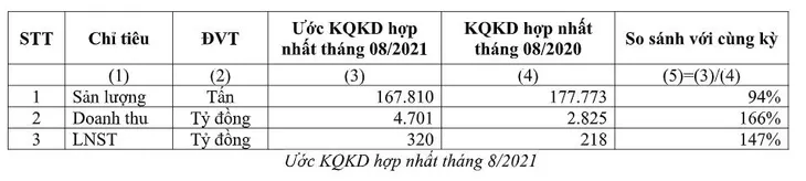 HSG duy trì đà tăng trưởng ấn tượng giữa đại dịch - Ảnh 1.