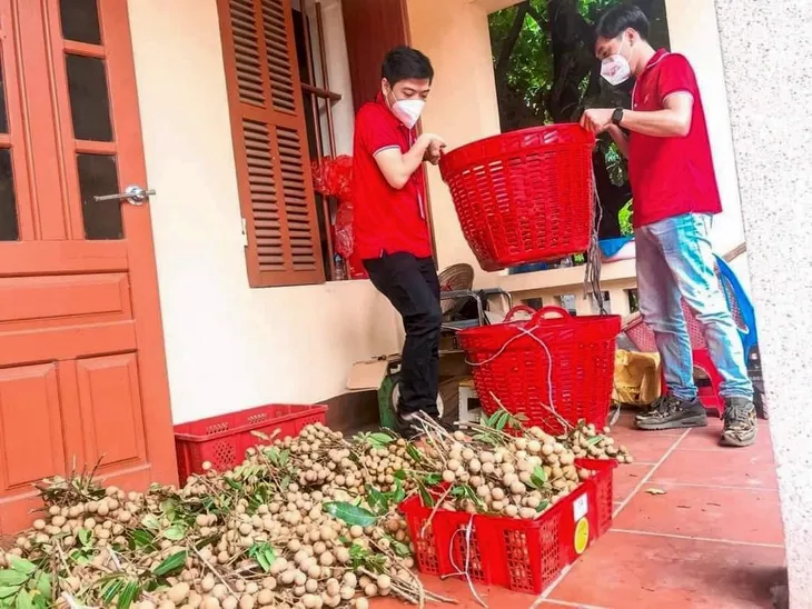 J&T Express hỗ trợ nông sản Việt, cùng nông dân “vượt khó” mùa dịch - Ảnh 4. J&T Express hỗ trợ nông sản Việt, cùng nông dân “vượt khó” mùa dịch - Ảnh 4.
