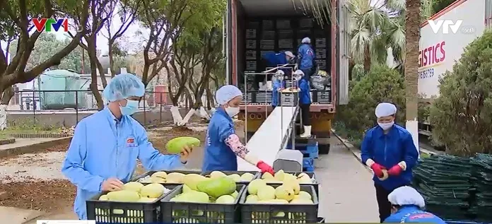 Điệp khúc “ùn ứ hàng hóa ở cửa khẩu”: Đâu là giải pháp bài bản, căn cơ? - Ảnh 2. Điệp khúc “ùn ứ hàng hóa ở cửa khẩu”: Đâu là giải pháp bài bản, căn cơ? - Ảnh 2.