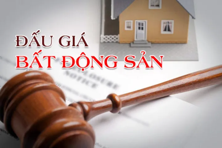 Từ vụ Thủ Thiêm đến quy định đấu giá đất: Sàng lọc thay vì lập rào chắn? - Ảnh 4. Từ vụ Thủ Thiêm đến quy định đấu giá đất: Sàng lọc thay vì lập rào chắn? - Ảnh 4.