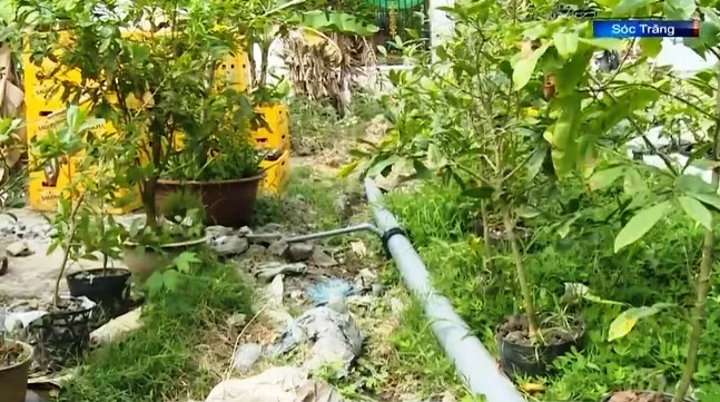 Cấp nước cho vùng có nguy cơ hạn, mặn - Ảnh 2. Cấp nước cho vùng có nguy cơ hạn, mặn - Ảnh 2.