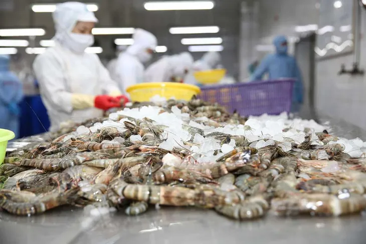 Việt Nam đứng thứ 5 về xuất khẩu tôm sang Mỹ trong năm 2021 - Ảnh 1. Việt Nam đứng thứ 5 về xuất khẩu tôm sang Mỹ trong năm 2021 - Ảnh 1.