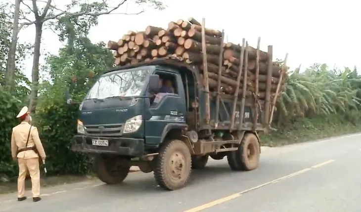 Xử lý mạnh tay với xe quá tải - Ảnh 1. Xử lý mạnh tay với xe quá tải - Ảnh 1.