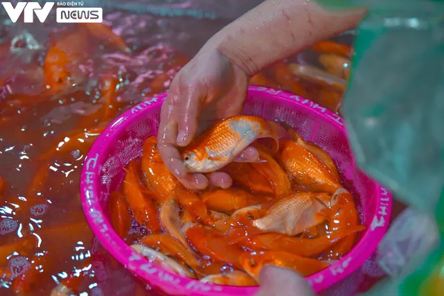 Nhộn nhịp khu chợ buôn bán “phương tiện” cho các Táo ngày về chầu Trời - Ảnh 3. Nhộn nhịp khu chợ buôn bán “phương tiện” cho các Táo ngày về chầu Trời - Ảnh 3.