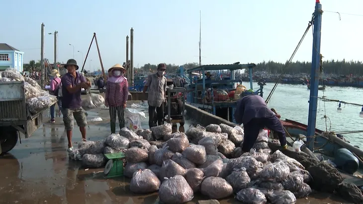 Bà Rịa – Vũng Tàu: Ngư dân trúng biển cuối năm - Ảnh 1.