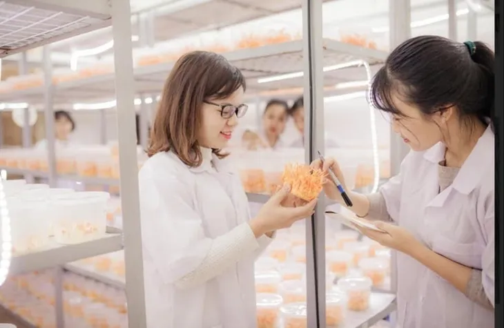 Phân hiệu Trường Đại học Lâm nghiệp tại tỉnh Đồng Nai công bố phương án tuyển sinh 2022 - Ảnh 2. Phân hiệu Trường Đại học Lâm nghiệp tại tỉnh Đồng Nai công bố phương án tuyển sinh 2022 - Ảnh 2.