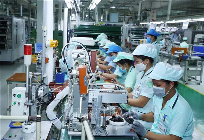 Không để kinh tế Việt Nam lỡ nhịp phục hồi với thế giới - Ảnh 1. Không để kinh tế Việt Nam lỡ nhịp phục hồi với thế giới - Ảnh 1.