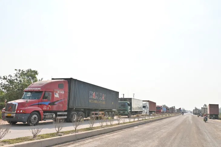 300.000 tấn thanh long “tắc” đầu ra - Ảnh 2. 300.000 tấn thanh long “tắc” đầu ra - Ảnh 2.