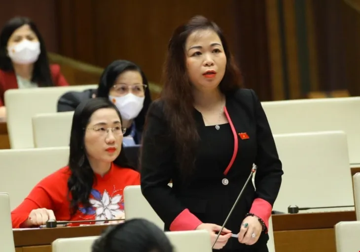 “Gói phục hồi kinh tế cần vững chắc, tránh thành tích” - Ảnh 1. “Gói phục hồi kinh tế cần vững chắc, tránh thành tích” - Ảnh 1.