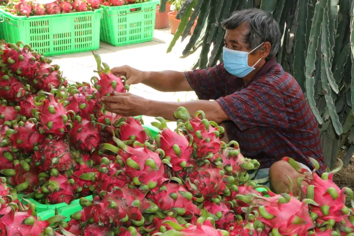 Đẩy mạnh xuất khẩu rau quả chính ngạch sang Trung Quốc - Ảnh 1. Đẩy mạnh xuất khẩu rau quả chính ngạch sang Trung Quốc - Ảnh 1.