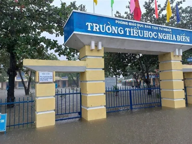 Nhiều địa phương ở Quảng Ngãi thiệt hại do mưa lớn - Ảnh 8. Nhiều địa phương ở Quảng Ngãi thiệt hại do mưa lớn - Ảnh 8.