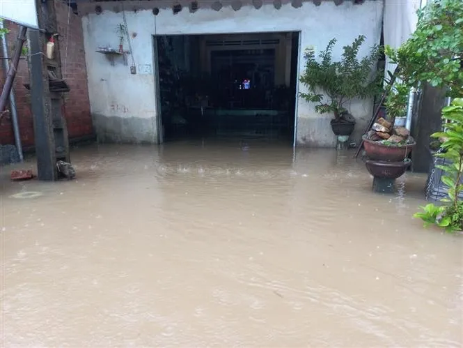 Nhiều địa phương ở Quảng Ngãi thiệt hại do mưa lớn - Ảnh 6. Nhiều địa phương ở Quảng Ngãi thiệt hại do mưa lớn - Ảnh 6.