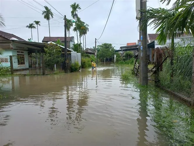 Nhiều địa phương ở Quảng Ngãi thiệt hại do mưa lớn - Ảnh 2. Nhiều địa phương ở Quảng Ngãi thiệt hại do mưa lớn - Ảnh 2.