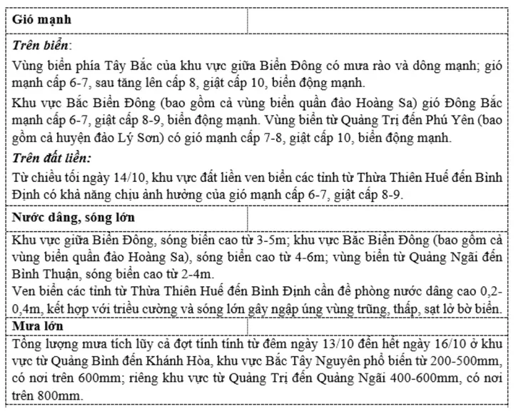 Áp thấp nhiệt đới áp sát miền Trung, có nơi mưa trên 800mm - Ảnh 3. Áp thấp nhiệt đới áp sát miền Trung, có nơi mưa trên 800mm - Ảnh 3.