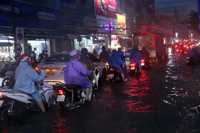 Áp thấp nhiệt đới gây mưa lớn kéo dài, ngập úng diện rộng tại miền Trung - Ảnh 11. Áp thấp nhiệt đới gây mưa lớn kéo dài, ngập úng diện rộng tại miền Trung - Ảnh 11.