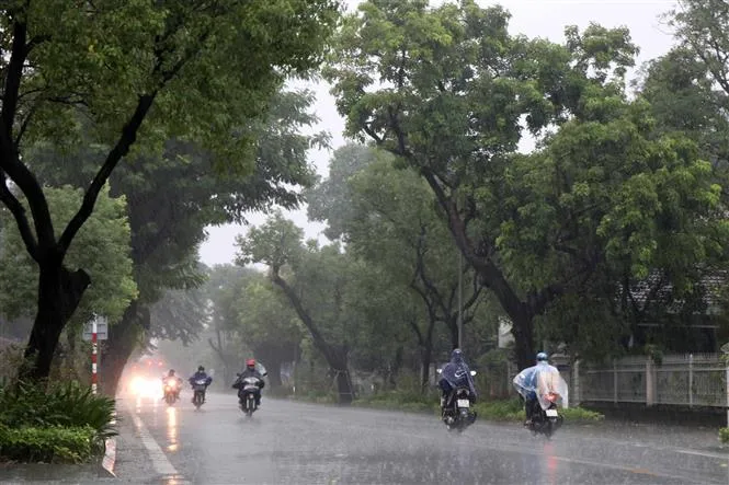 Áp thấp nhiệt đới gây mưa lớn kéo dài, ngập úng diện rộng tại miền Trung - Ảnh 3. Áp thấp nhiệt đới gây mưa lớn kéo dài, ngập úng diện rộng tại miền Trung - Ảnh 3.
