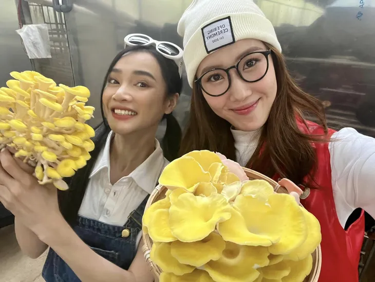 Sao Việt ngày 15/10: Mỹ Tâm khoe vòng eo thon gọn, con gái Trường Giang có dáng đi giống hệt bố - Ảnh 8. Sao Việt ngày 15/10: Mỹ Tâm khoe vòng eo thon gọn, con gái Trường Giang có dáng đi giống hệt bố - Ảnh 8.