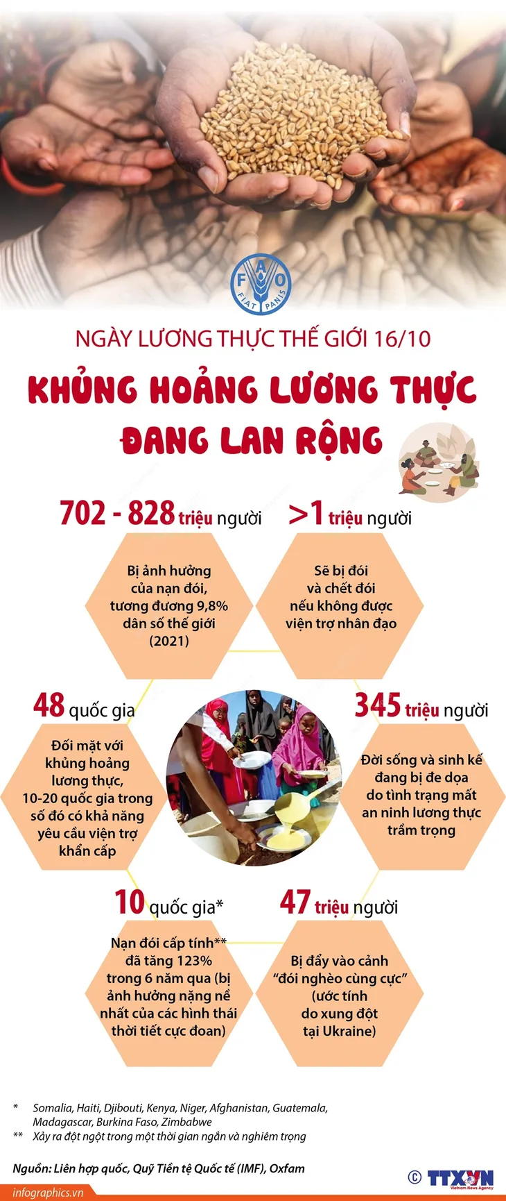 [INFOGRAPHIC] Khủng hoảng lương thực đang lan rộng - Ảnh 1.