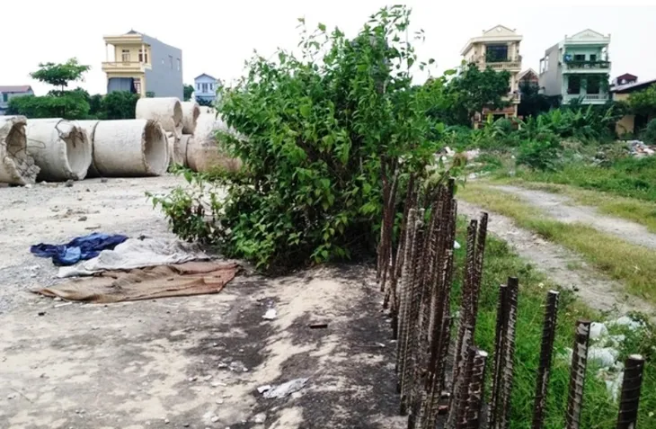 Dự án treo bỏ hoang 2 thập kỷ giữa lòng thành phố - Ảnh 4. Dự án treo bỏ hoang 2 thập kỷ giữa lòng thành phố - Ảnh 4.