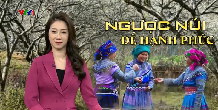 Đường ngược núi của phụ nữ vùng cao đã bớt chông gai - Ảnh 1. Đường ngược núi của phụ nữ vùng cao đã bớt chông gai - Ảnh 1.
