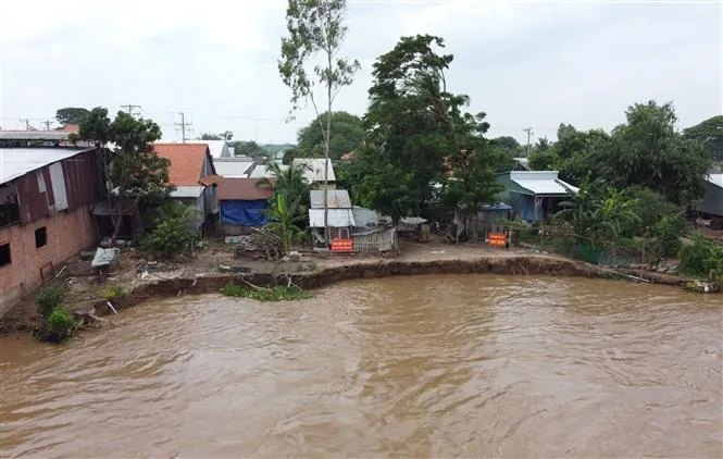 Đồng Tháp di dời nhiều hộ dân vì sạt lở - Ảnh 1. Đồng Tháp di dời nhiều hộ dân vì sạt lở - Ảnh 1.