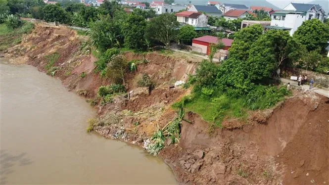 Sạt lở nghiêm trọng bờ sông Đà - Ảnh 7. Sạt lở nghiêm trọng bờ sông Đà - Ảnh 7.