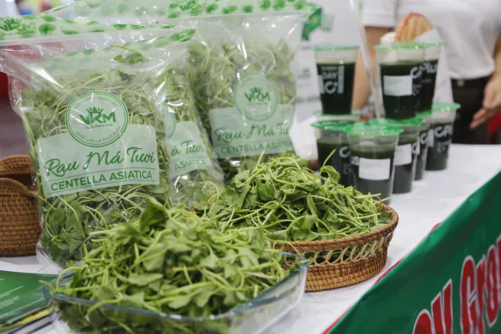 Công đoàn Đài THVN tổ chức mít tinh, hội chợ chào mừng ngày Phụ nữ Việt Nam - Ảnh 15. Công đoàn Đài THVN tổ chức mít tinh, hội chợ chào mừng ngày Phụ nữ Việt Nam - Ảnh 15.