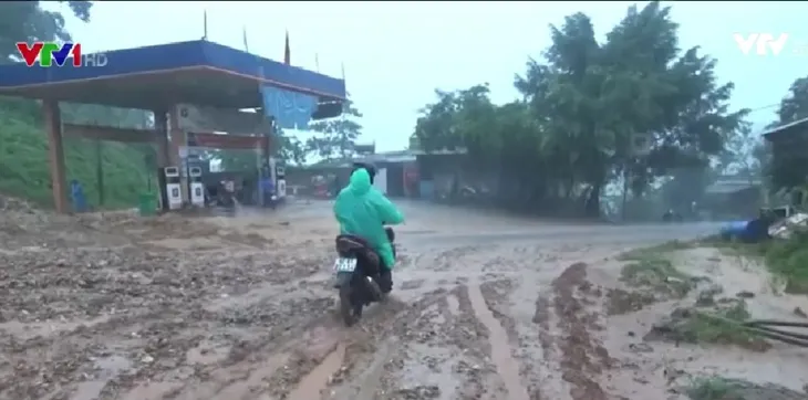 Nguy cơ sạt lở diện rộng ở miền núi Quảng Nam - Ảnh 1. Nguy cơ sạt lở diện rộng ở miền núi Quảng Nam - Ảnh 1.